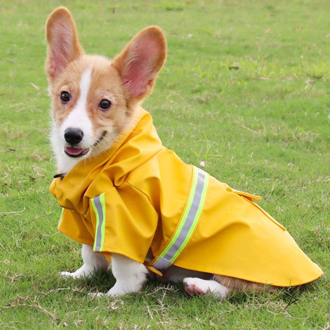 Dog Raincoat – Waterproof, Water-repellent & Breathable