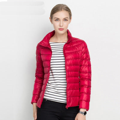 Damen Federleichte Daunensteppjacke – Mit Reißverschluss, Warm & Modern
